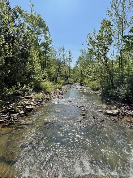 Riverfront Property in Stone County, Arkansas