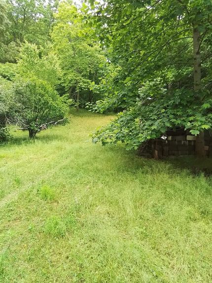 Lakefront Property in Cherokee County, North Carolina