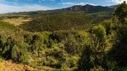 Recreational Property in Montrose County, Colorado