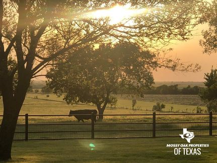Farm and Ranch in Cooke County, Texas