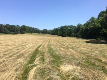 Farm and Ranch in Texas County, Missouri