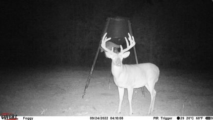 Recreational Property in Amite County, Mississippi