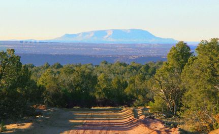 Farm and Ranch in Apache County, Arizona