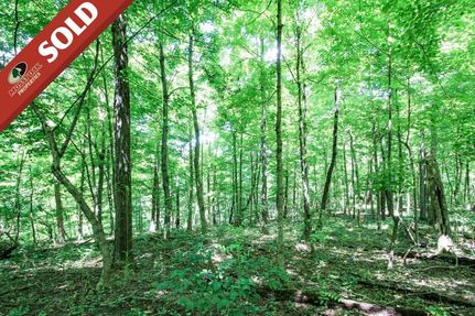 Hunting Property in Muskingum County, Ohio