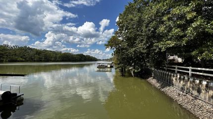 Undeveloped Land in Monroe County, Arkansas