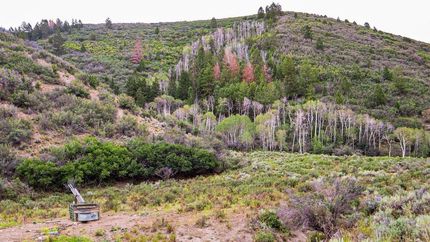 Farm and Ranch in Rio Blanco County, Colorado