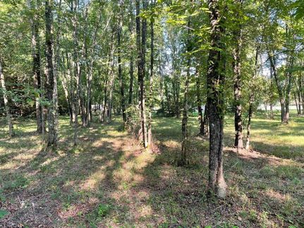 Timberland Property in Clay County, Mississippi