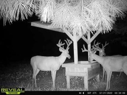Land in Crawford County, Georgia