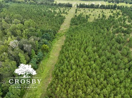 Recreational Property in Bamberg County, South Carolina