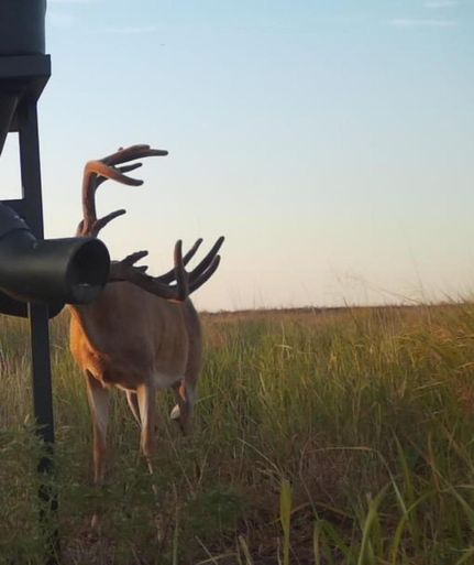 Farm and Ranch in Kiowa County, Kansas