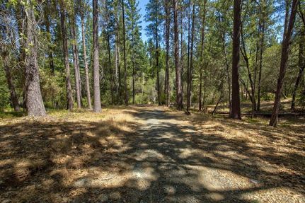 Timberland Property in Amador County, California