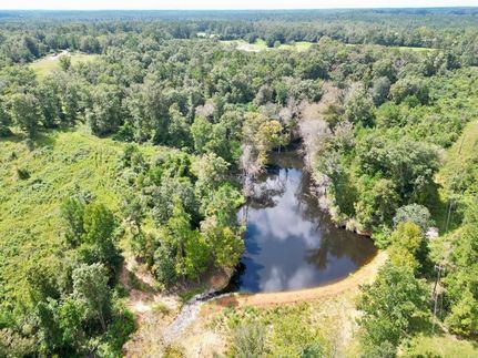 Timberland Property in Pike County, Mississippi