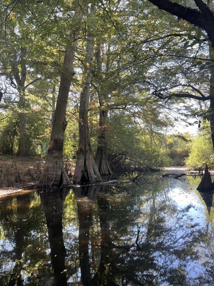 Hunting Property in Jackson County, Arkansas