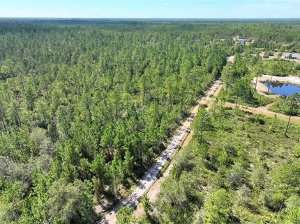 Hunting Property in Charlton County, Georgia