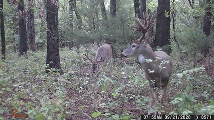 Recreational Property in Lincoln County, Oklahoma