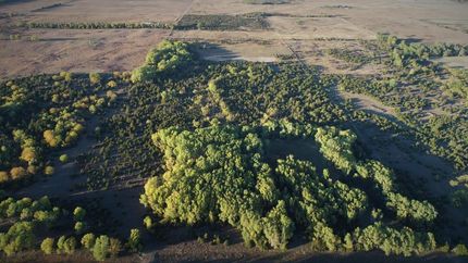 Farm and Ranch in Reno County, Kansas