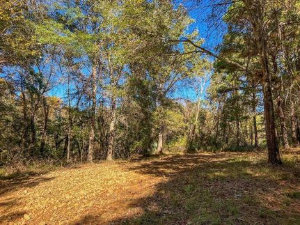 Undeveloped Land in Claiborne County, Mississippi