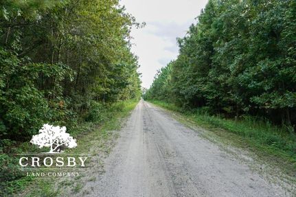 Land in Williamsburg County, South Carolina