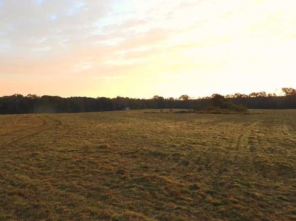 Farm and Ranch in Amite County, Mississippi