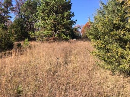 Undeveloped Land in Howell County, Missouri