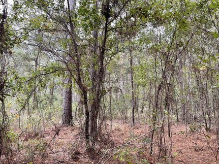 Farm and Ranch in Camden County, Georgia