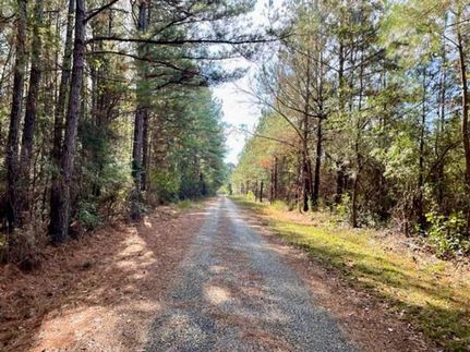 Timberland Property in Lawrence County, Mississippi