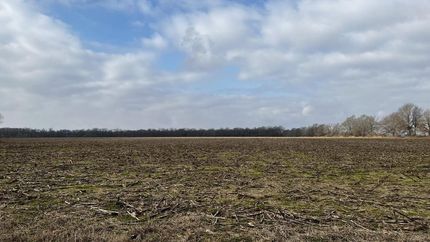 Recreational Property in Arkansas County, Arkansas