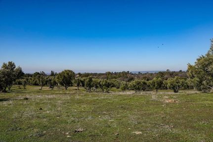 Farm and Ranch in Butte County, California