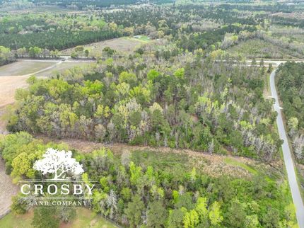Undeveloped Land in Orangeburg County, South Carolina