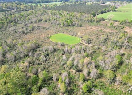 Timberland Property in Walthall County, Mississippi