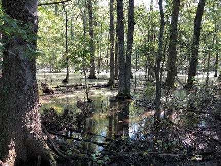 Recreational Property in Monroe County, Arkansas