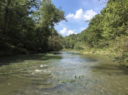 Undeveloped Land in Faulkner County, Arkansas