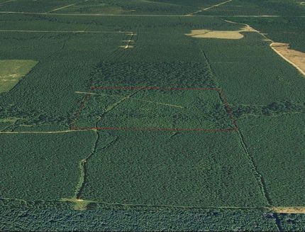 Commercial Property in Ashley County, Arkansas