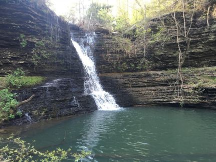 Timberland Property in White County, Arkansas