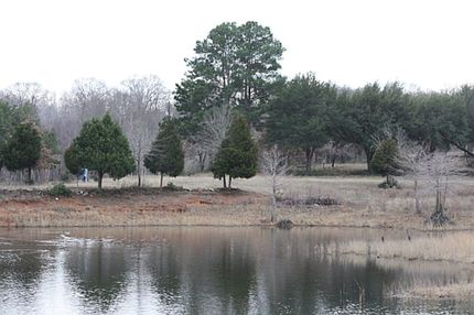 Farm and Ranch in Freestone County, Texas