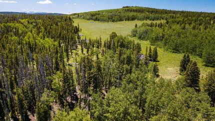 Land in Gunnison County, Colorado