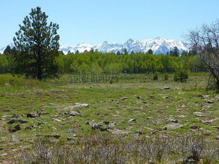 Hunting Property in Montrose County, Colorado