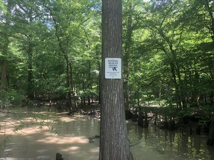 Recreational Property in Woodruff County, Arkansas