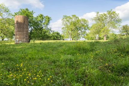 Farm and Ranch in Camp County, Texas