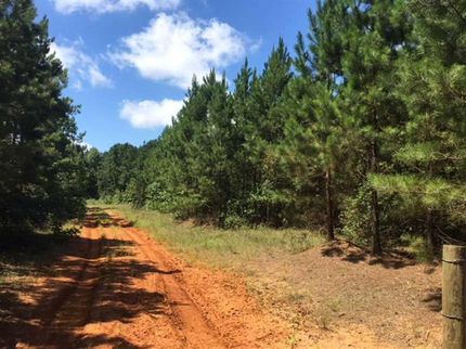 Timberland Property in San Augustine County, Texas