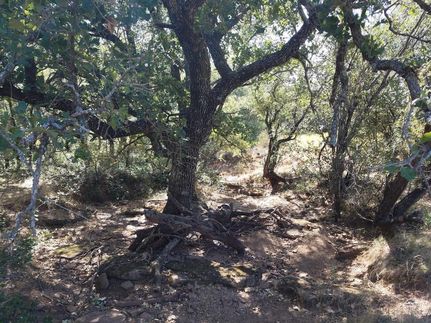 Recreational Property in Stephens County, Texas