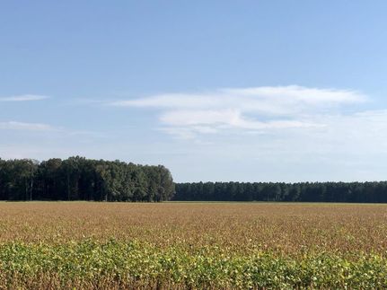 Land in White County, Arkansas