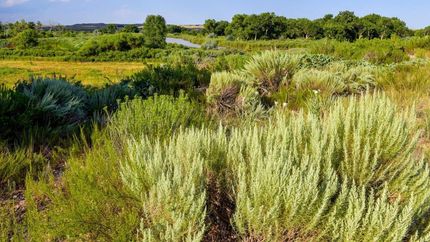Land in Pueblo County, Colorado