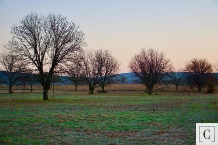 Farm and Ranch in Young County, Texas