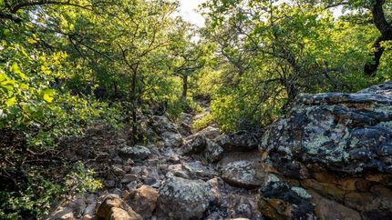 Recreational Property in Jack County, Texas
