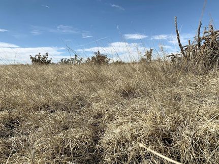 Undeveloped Land in Bent County, Colorado