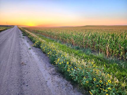 Undeveloped Land in Cheyenne County, Nebraska