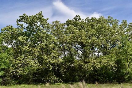 Land in Rains County, Texas