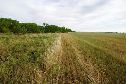 Land in Archer County, Texas