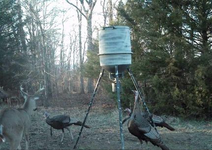 Recreational Property in Cleburne County, Arkansas